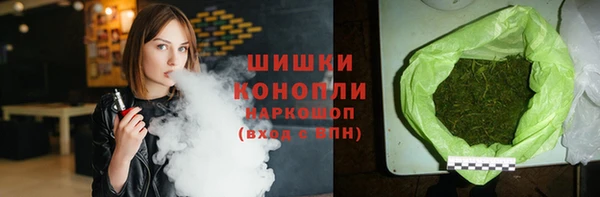 PSILOCYBIN Алзамай