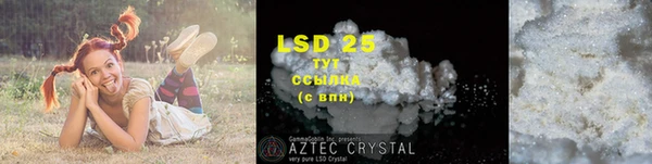 PSILOCYBIN Алзамай