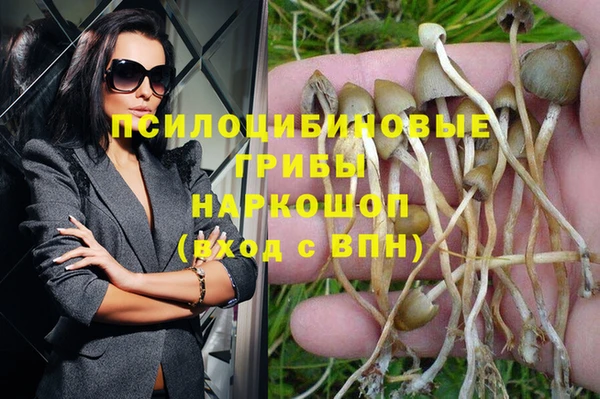 кокс Алексеевка