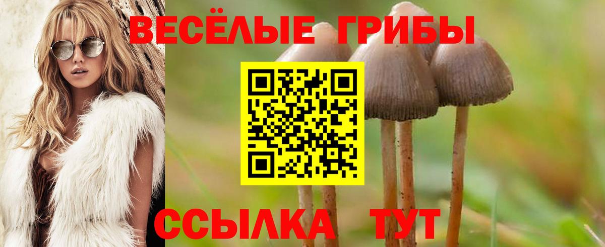 Белореченск  Псилоцибиновые грибы Psilocybe  Вход с VPN  Галлюциногенные грибы мицелий 